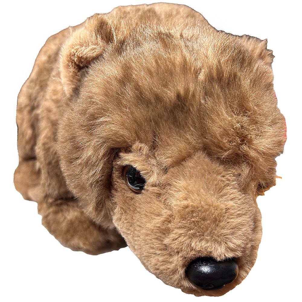 Texas Toy Distribution - Wholesale Stuffed/Plush Toy - Kids & Baby - Brown Bear Standing Plush North American 14" Stuffed Animal2