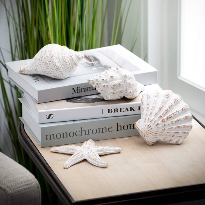 Sullivans Home Decor - Wholesale Decorative Figurine - Whitewashed Seashells Set Of 4