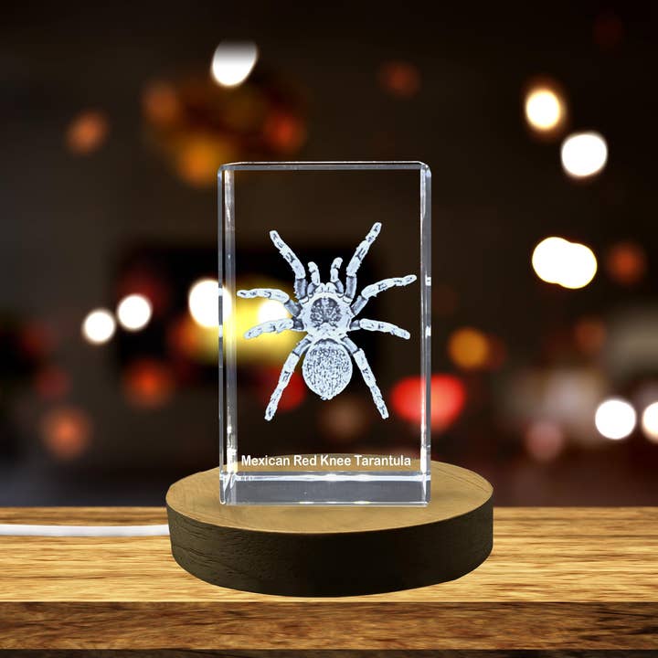AB Crystal Collection – Objeto de mesa decorativo por atacado – Deslumbrante Escultura de Cristal de uma Tarântula de Joelho Vermelho Mexicana | Arte Decorativa de Aranha 3D