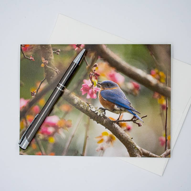 Wren - Wholesale Everyday Greeting Card - Bluebird and Dogwood Blossoms (Blank inside) Greeting Card5