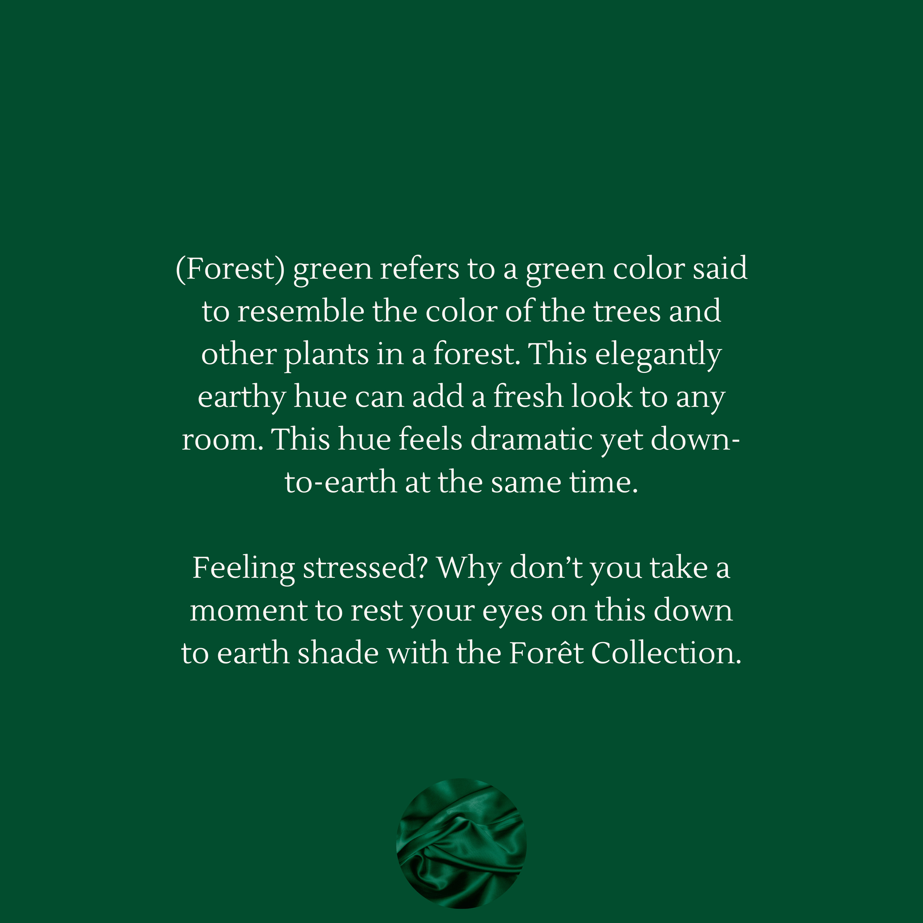 Rêves Silk Co. - Vendita all'ingrosso Federe/copricuscino - Federa Busta Regina Forêt5