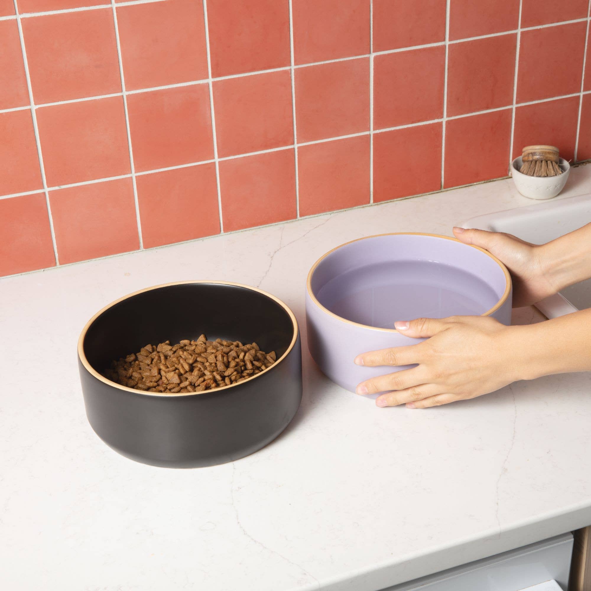 Waggo - Wholesale Pet Bowl - Cat/Dog - Edge Ceramic Dog Bowl1