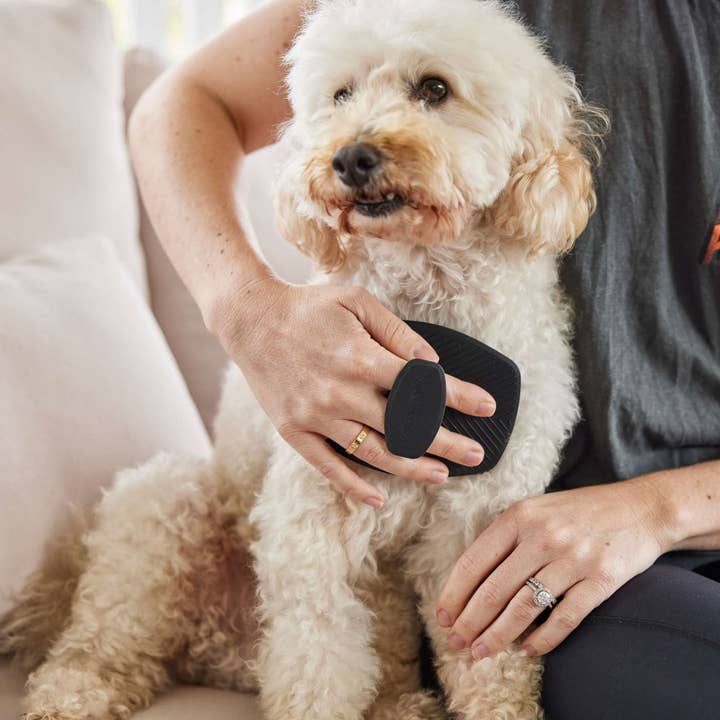 HARLOW HARRY – wholesale Verktyg för husdjursvård – Hund – Luxe lödder badborste