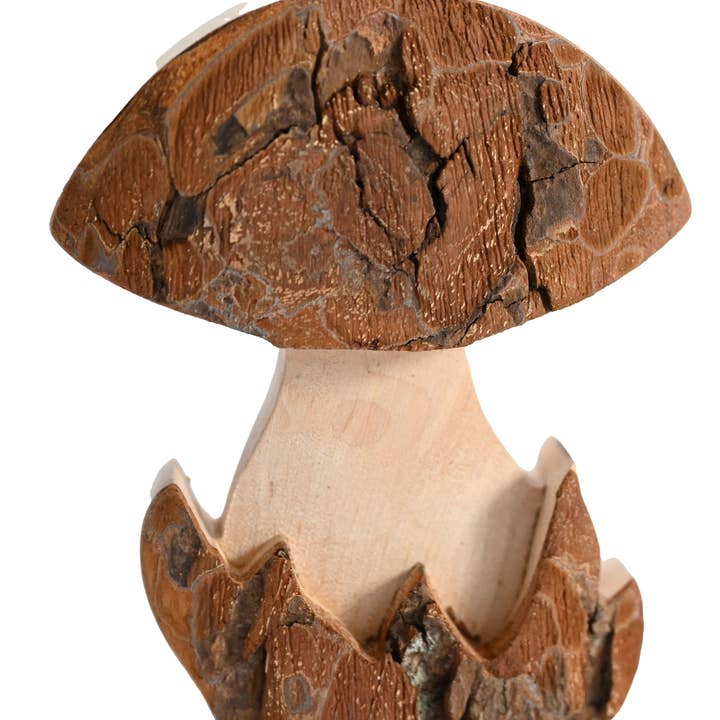Medium Bark Mushroom for wholesale by Talla Imports