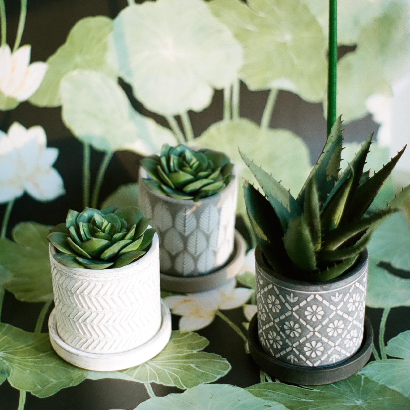 Chive - Wholesale Plant Pot - Balter Succulent Containers Cactus Pot And Saucer24