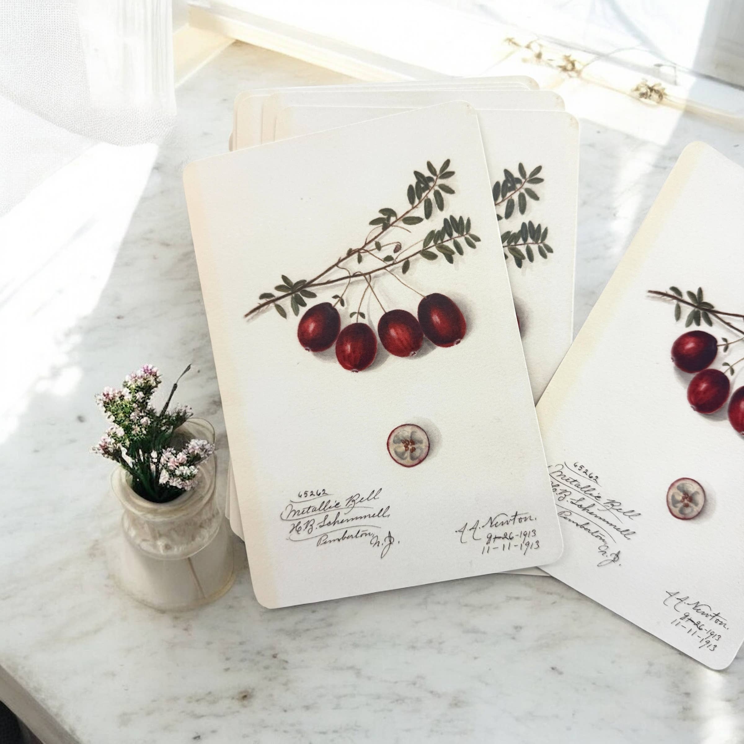 Firefly Notes - Wholesale Stationery/Notecard Set - Vintage Botanical Project Goal Cards2