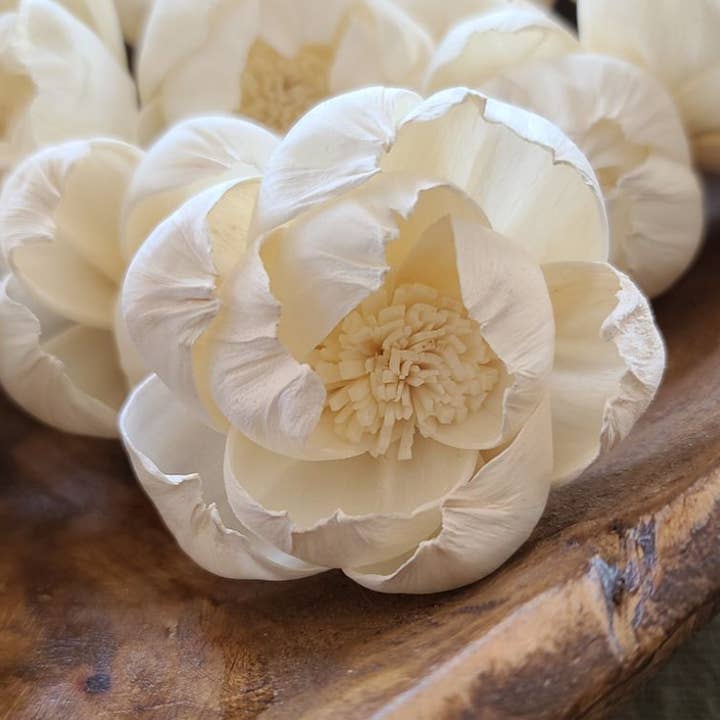 LiveYoung Candle Company - Wholesale Artificial Flowers - Peony Sola Wood Flower (set of 5)