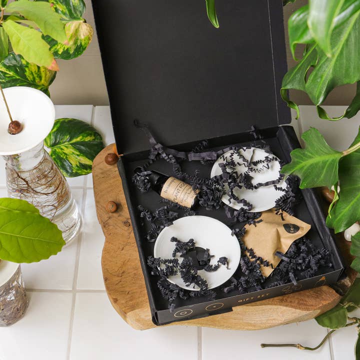 Botanopia - gifts , decor and cards for plant lovers - Wholesale Plant Seeds - Deluxe Gift Box – Germination & Propagation in water7