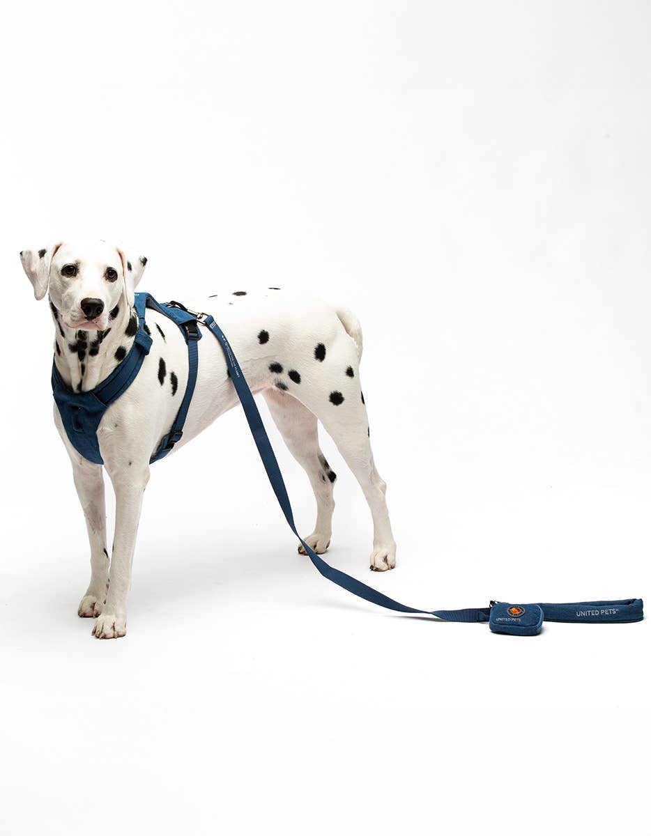 United Pets – Engroshandel Hundesnor - Hund – Hund Jeans Polstret Blød Snor6