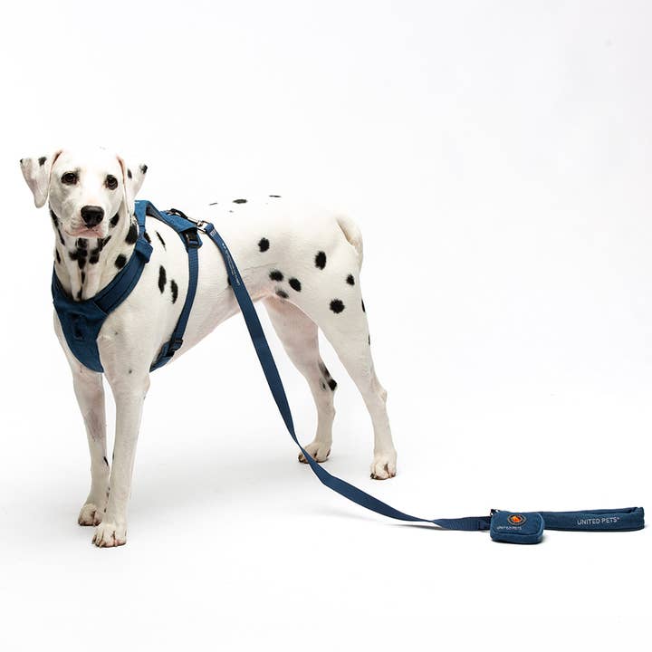 United Pets – Engroshandel Hundesnor - Hund – Hund Jeans Polstret Blød Snor6