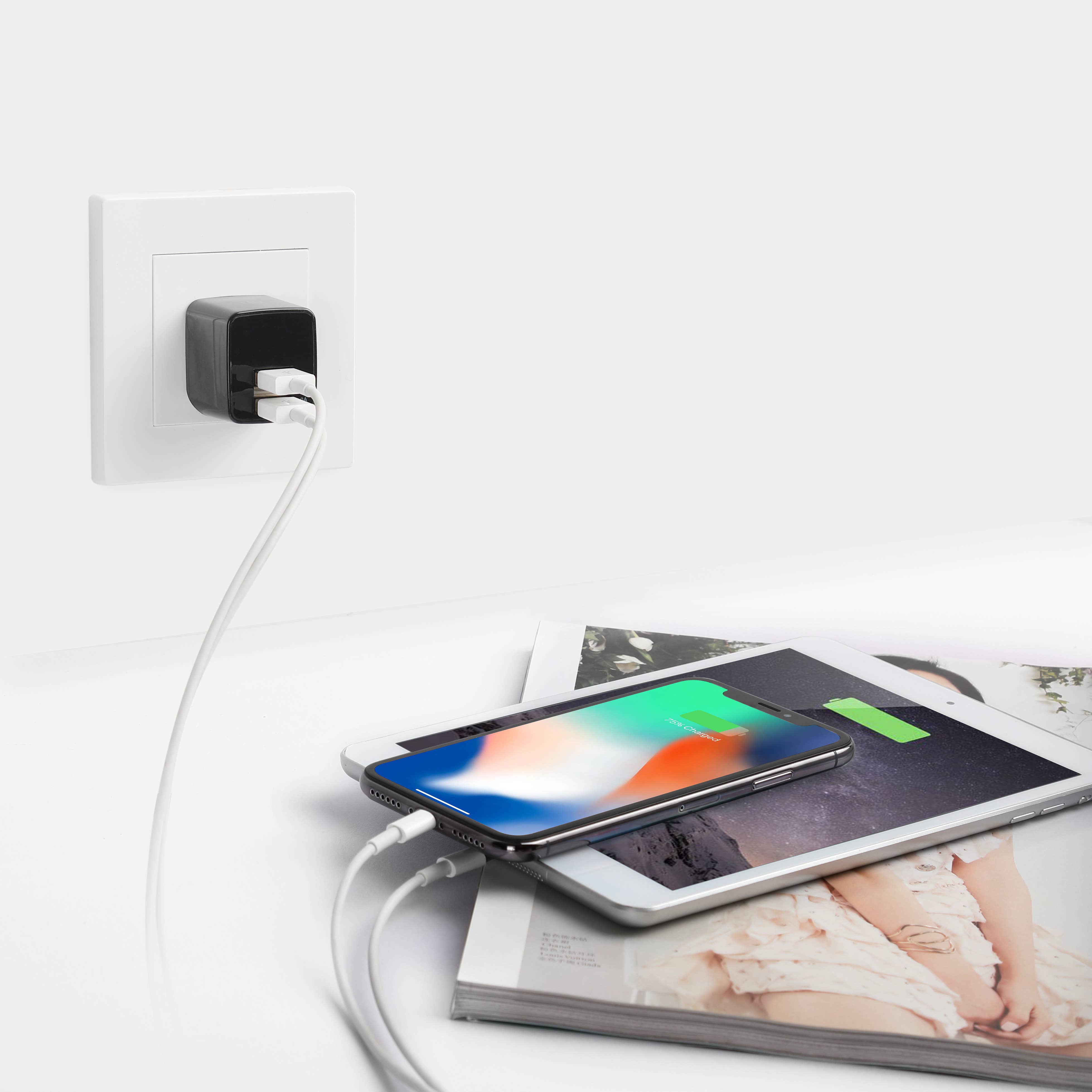 LAX Gadgets - Wholesale Portable Charger - Ultra-Compact Dual USB Wall Charger – Retail Packaging26