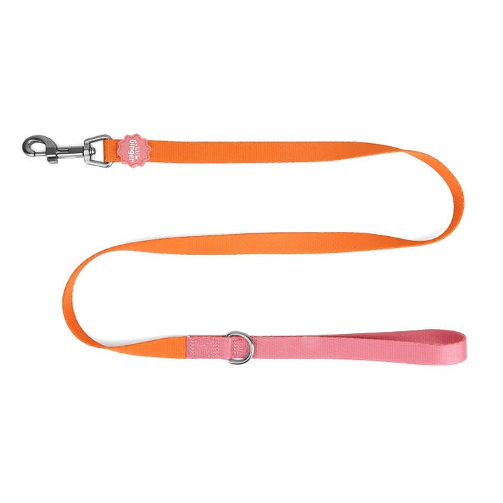 Two-Tone Lead for wholesale by Little Ginger
