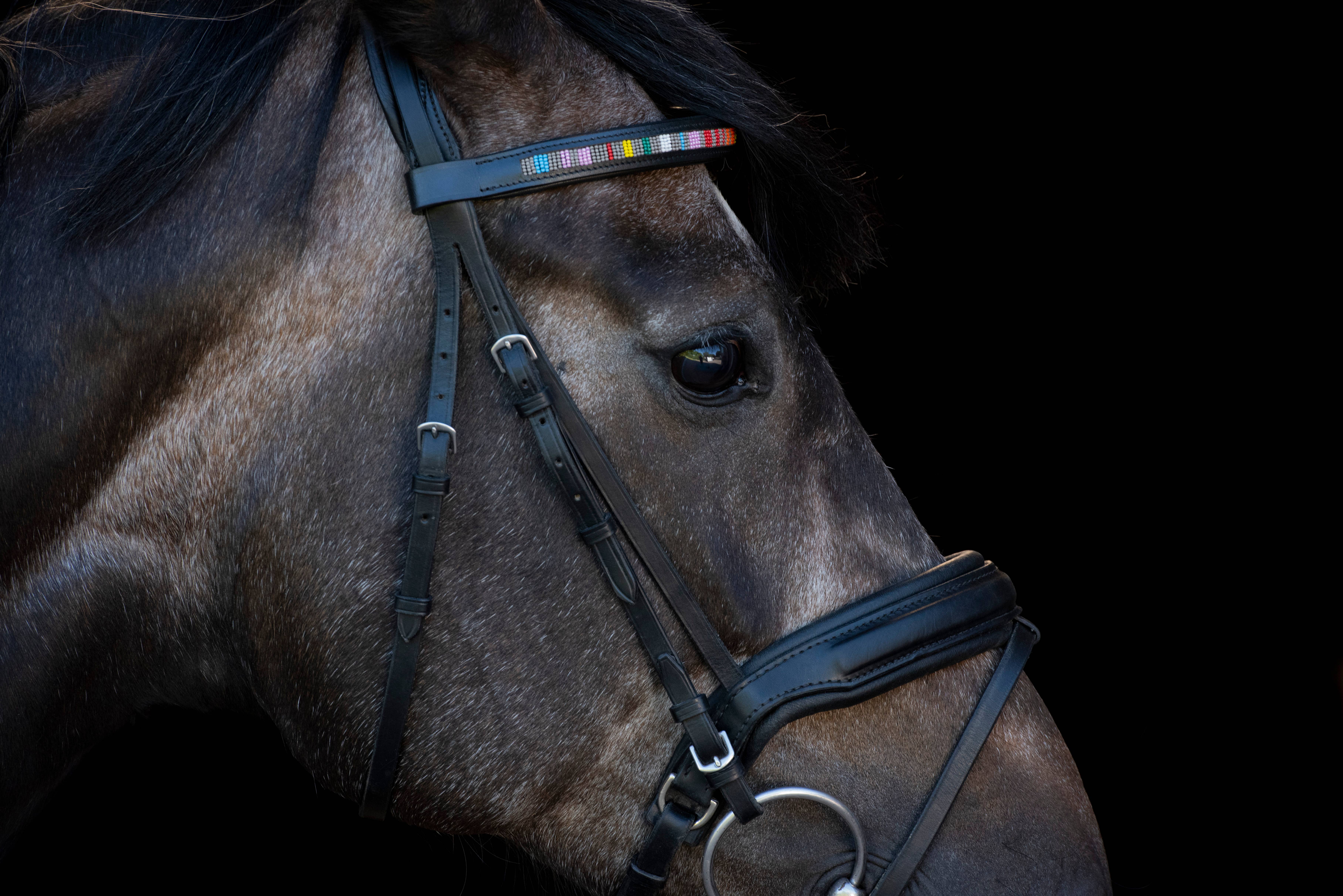 kay-line - Wholesale Horseback Riding Gear - Leather HORSE Browband FIRE & ASH3