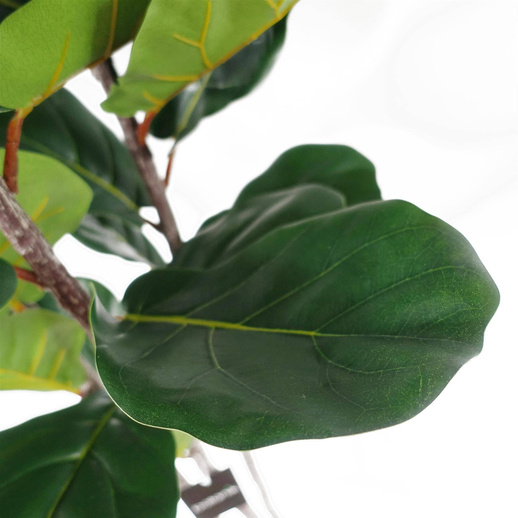 Leaf Design UK LTD – wholesale Artificial plant – 180cm Premium Artificial Fiddle Leaf Fig Tree4