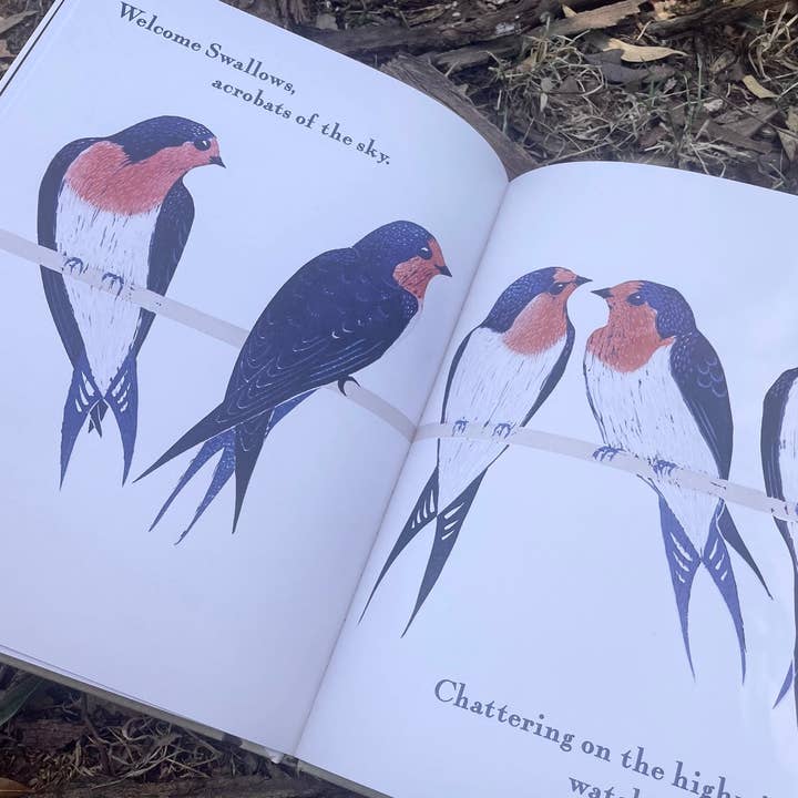 Bridget Farmer Printmaker - Wholesale Pre-school book (3–5) - Kookaburra Kookaburra - Children's Book12
