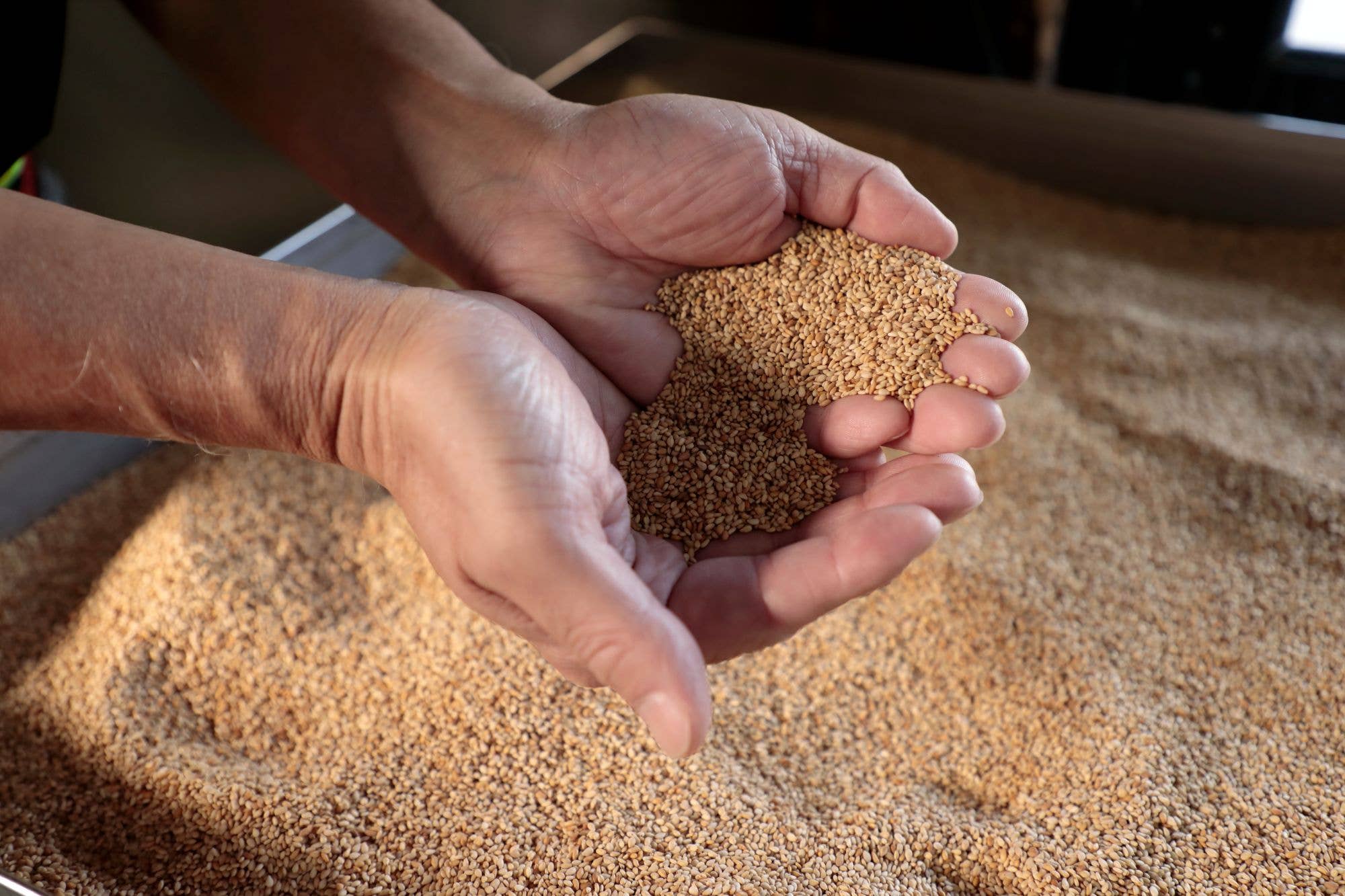 Japan Artisans - Wholesale Seeds/Kernels - Henko–Roasted White Sesame seeds80g | Kyoto, Japan1