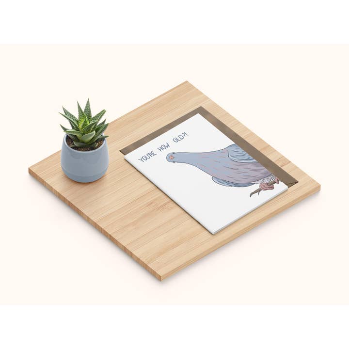 Pigeon Birthday Card for wholesale by Chloe Longden Art