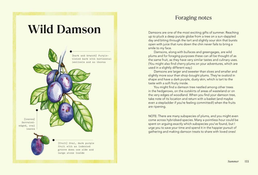 Independent Publishers Group - Vente Nature & Outdoors - Magie sauvage2