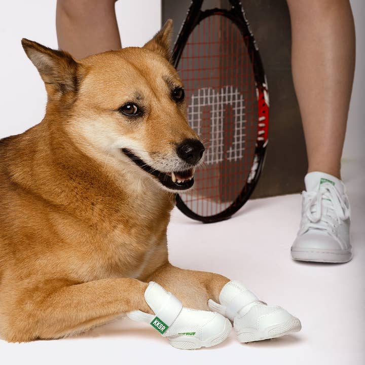 RIFRUF - Wholesale Pet Boots - Dog - Caesar 1 Durable Dog Sneaker with Knitted Mesh21