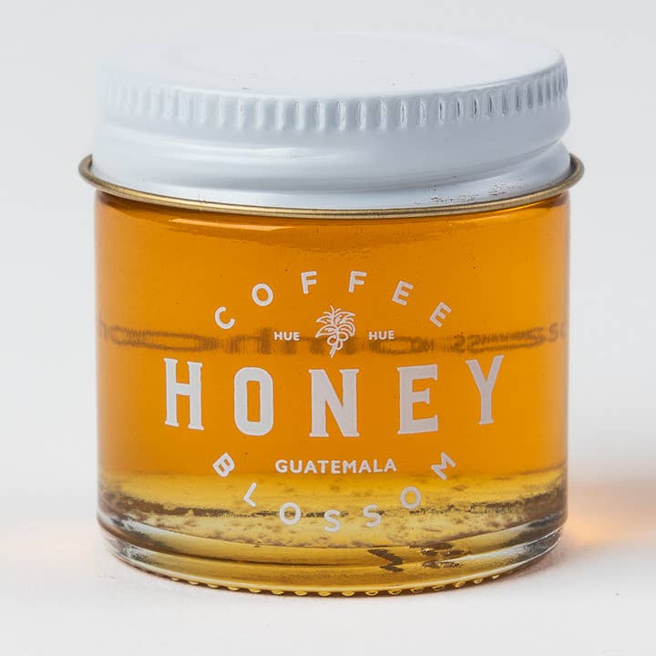Coffee Blossom Honey – wholesale Honey – Coffee Blossom Honey Mini Jars - Case of 12