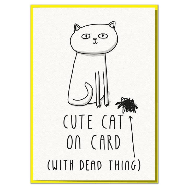 Cute Cat On Card. Funny Birthday Card for wholesale by Mungo And Shoddy
