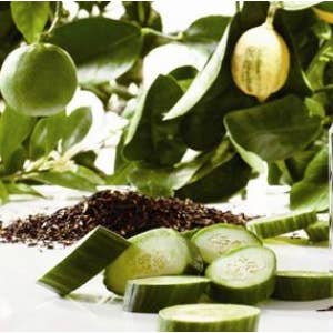 Earl Grey & Cucumber im Vergleich zu Jo Malone Cologne für den Großhandel von Starlight Wholesale LLC.