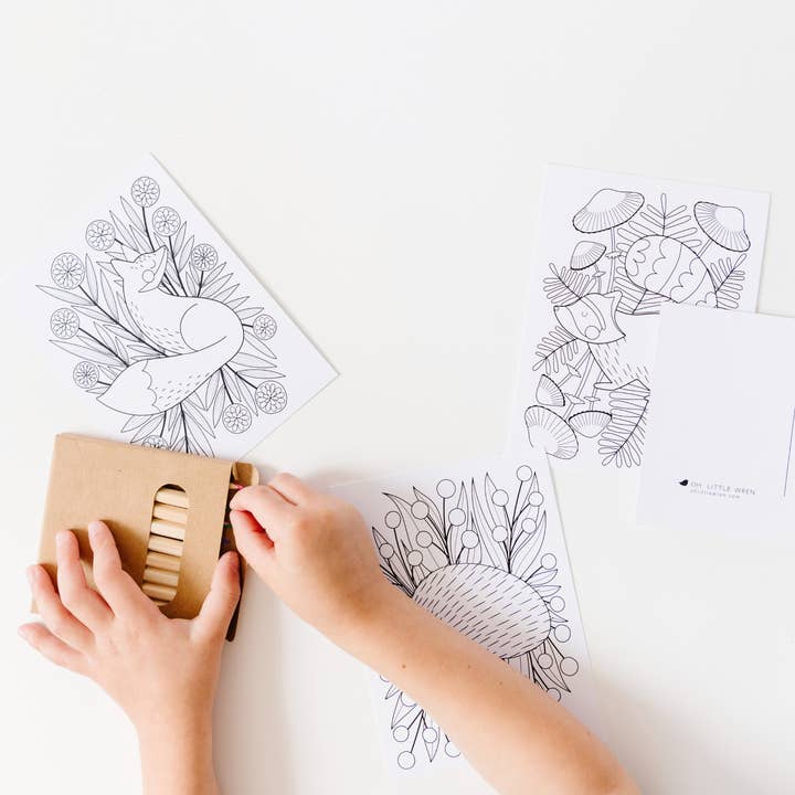 oh, little wren – wholesale Postcard set – Woodland Coloring Postcards | Set of 14 Illustrated Art Card1