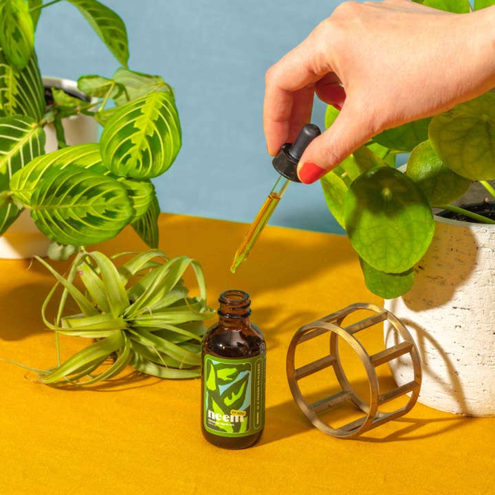 Kelpy – wholesale Fertiliser – Organic Neem Oil
