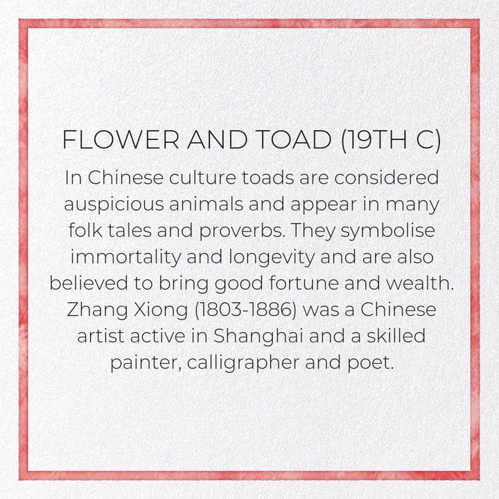 Ezen Trade - Wholesale Everyday greeting card - FLOWER AND TOAD (19TH C): Animal (other) Greeting Card3