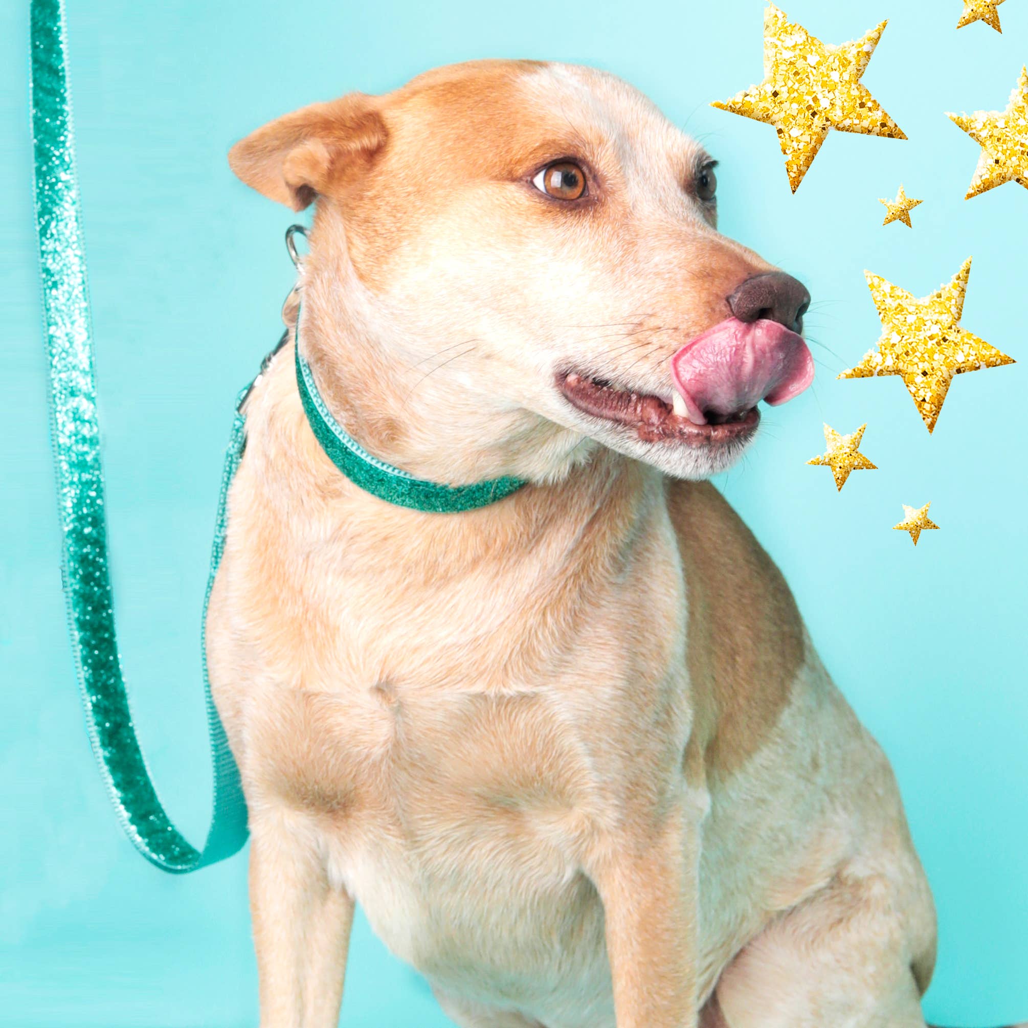 Mimi Green - Wholesale Pet Collar - Dog - Sparkly Mermaid Glitter Dog Collar - 8 Colors!6