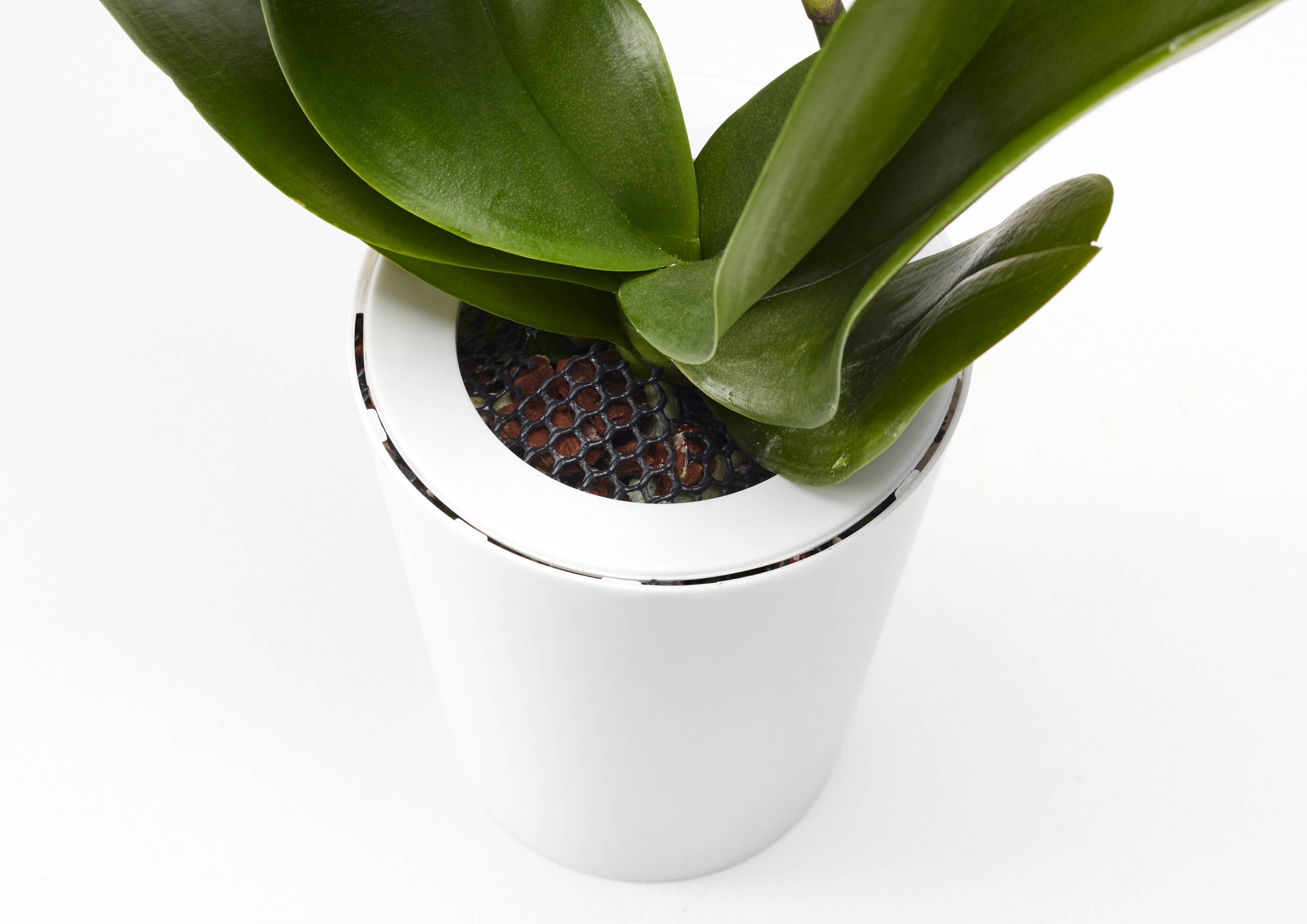 Boskke – Großhandel Pflanzenampel – Boskke Sky Planter Recycled - großer selbstbewässernder Pflanztopf11