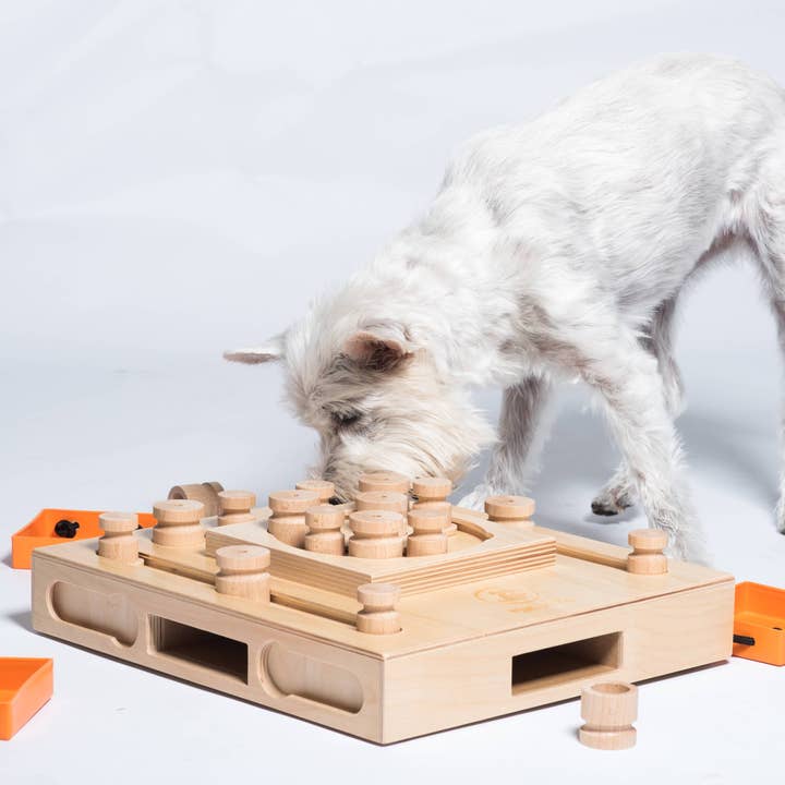 Turtle - intelligent dog puzzle for wholesale by My Intelligent Dogs
