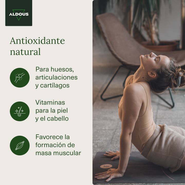 Aldous Bio - Venta al por mayor Suplementos/vitaminas para beber - Colágeno con Ácido Hialurónico Aldous | 120 cápsulas