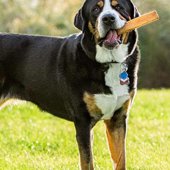 Willy's Wags Natural Pet Treats - Wholesale Pet Treats - Dog - Himalayan Yak Chews -2X-Large Sized - 5lbs. Bulk2