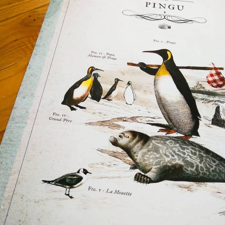 Maison Chapal - Venta al por mayor Pósteres - Historia natural de Pingu • Los héroes de nuestra infancia