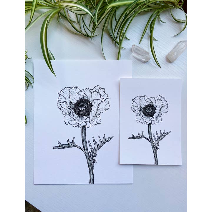 Archival Botanical Art Print - Poppy Flower voor wholesale door AEJ.CREATE