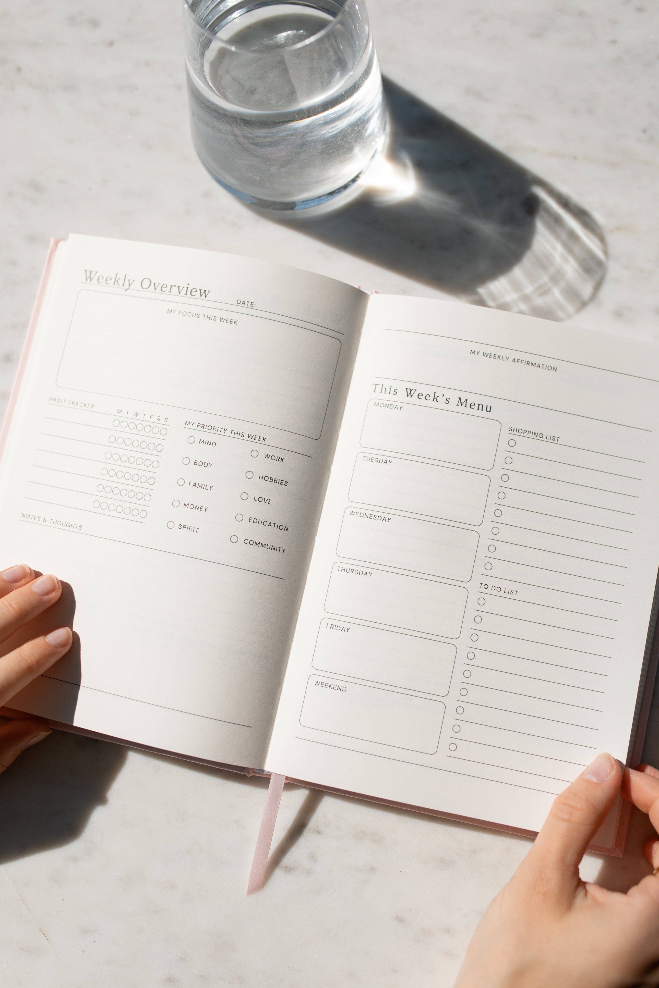 Strawberry Goose - Wholesale Planner - Wellness Planner12