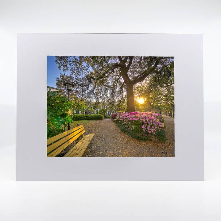 Œuvre d'art - Savannah Daydreaming pour la vente par Mike Ring Photography