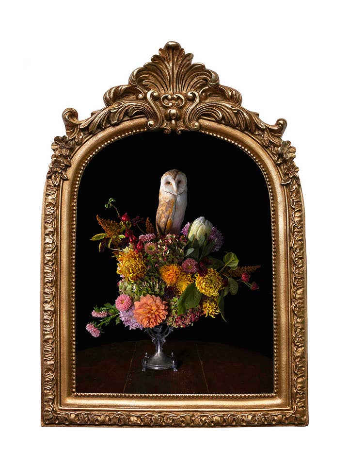 Phantasm - Baroque Inspired Frame Print for wholesale by Veneration of Light