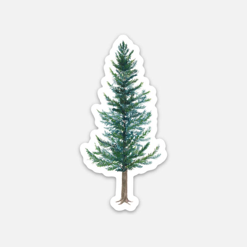 Yardia - Wholesale Sticker - Douglas Fir Vinyl Sticker - Evergreen Tree Sticker