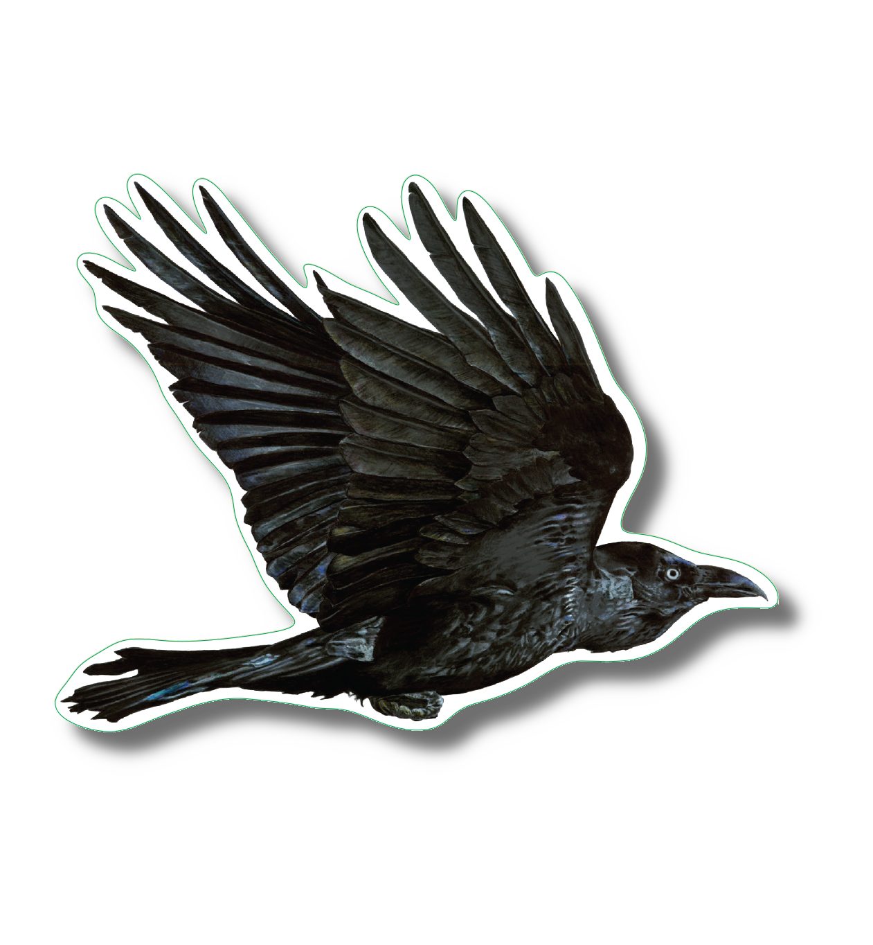 Earth Sky + Water - Vente Autocollant - Autocollant Raven Nature, 3,5 pouces de large1