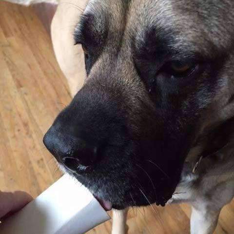 Pawstruck - Wholesale Pet Treats - Dog - Beef Filled Dog Bones (Small)