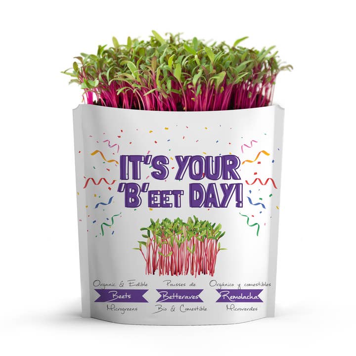 It's Your B'eet Day Greeting Card Pouch for wholesale by giftagreen