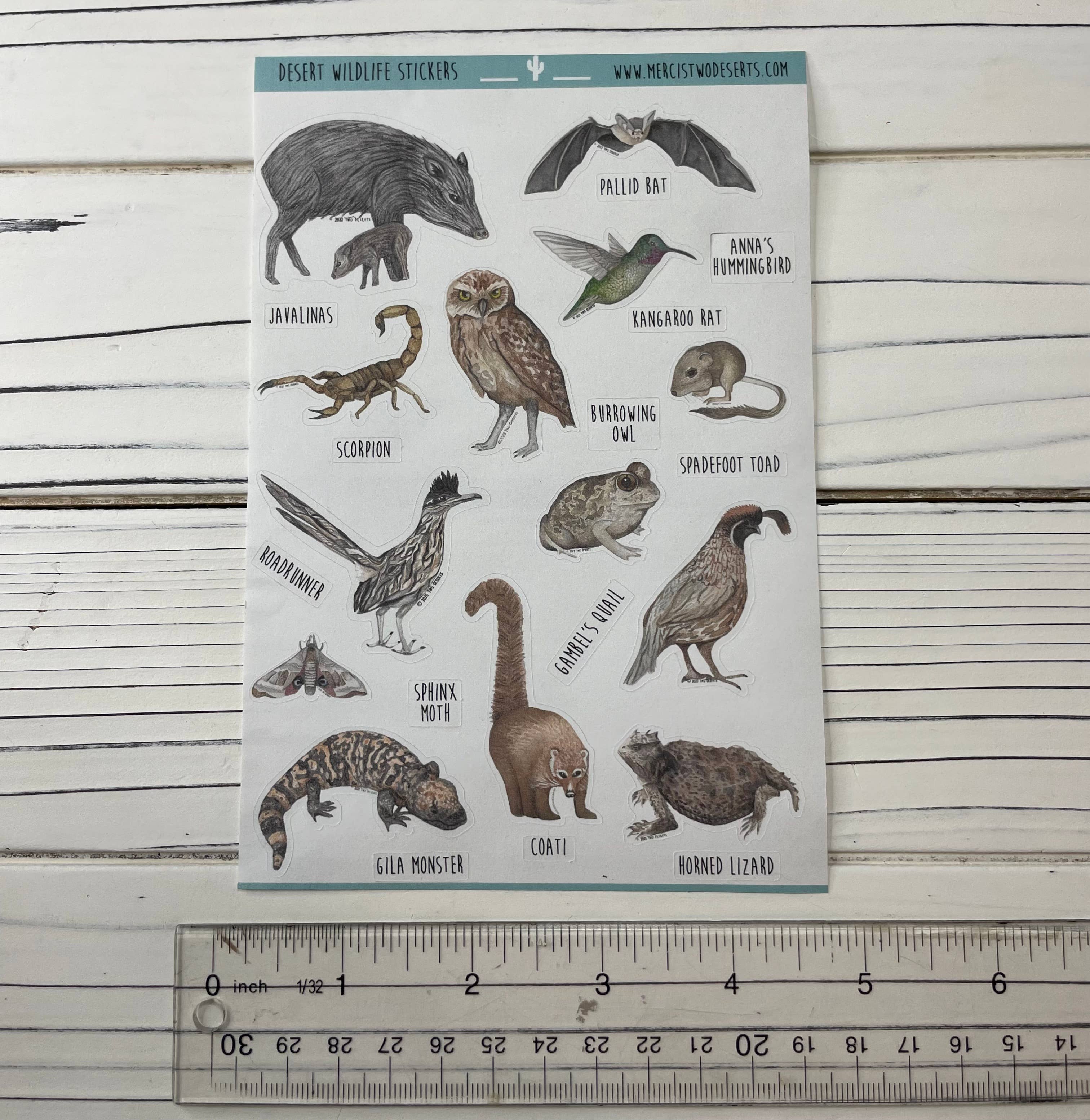 Two Deserts - Wholesale Sticker - Animal Stickers - Desert Wildlife - Paper Sticker Sheet3