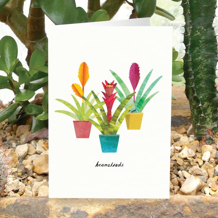 Paperwhale Cards & Paper Goods - Wholesale Everyday Greeting Card - Bromeliads Card0