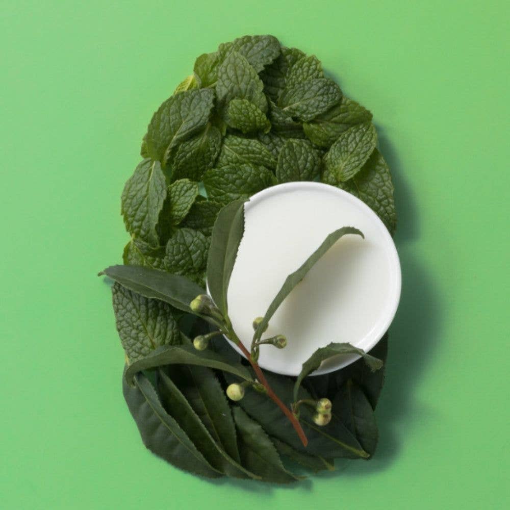 First Choice Buying – wholesale Hårschampo – OGX Extra Strength Uppfriskande Hårbotten + Schampo, Teatree Mint, 385 ml5