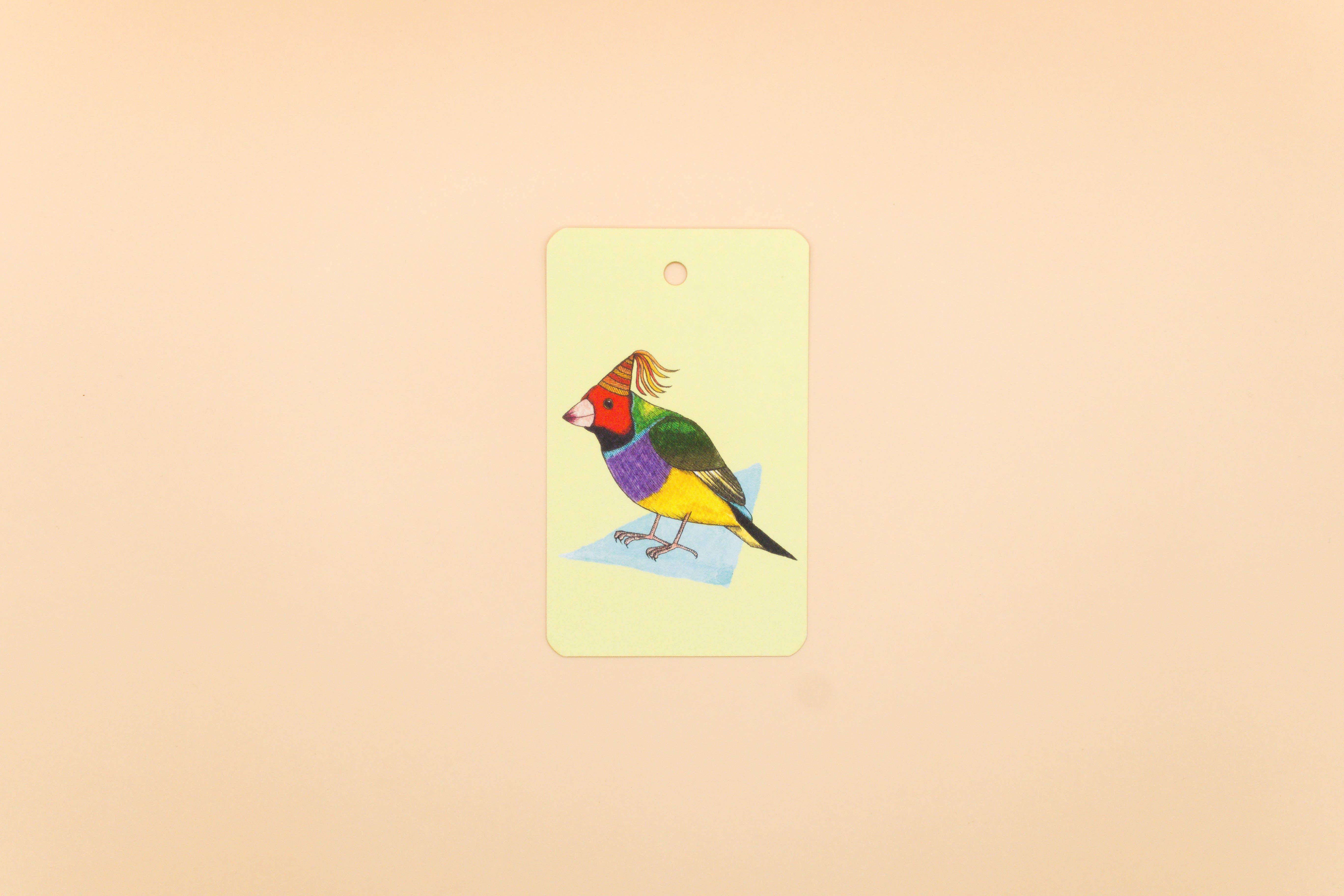 Sunshine Sea Art - Wholesale Gift Tag - Gouldian Finch Birthday Gift Tag Yellow Australian Gift Tag0
