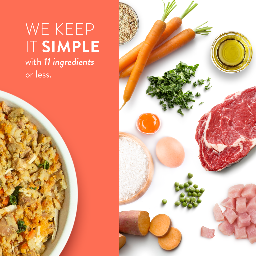 Portland Pet Food Company - Wholesale Pet Food - Dog - Tuxedo's Chicken & Yams Human Grade Fresh Wet Food Dog Pouch4