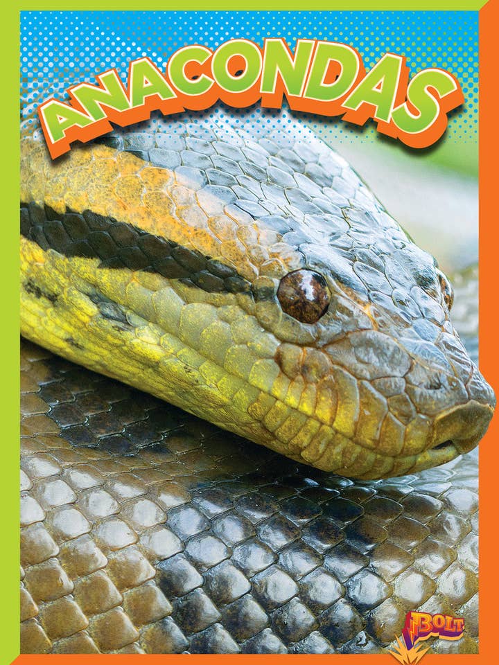 Le royaume des animaux sauvages : Anacondas pour la vente par Black Rabbit Books
