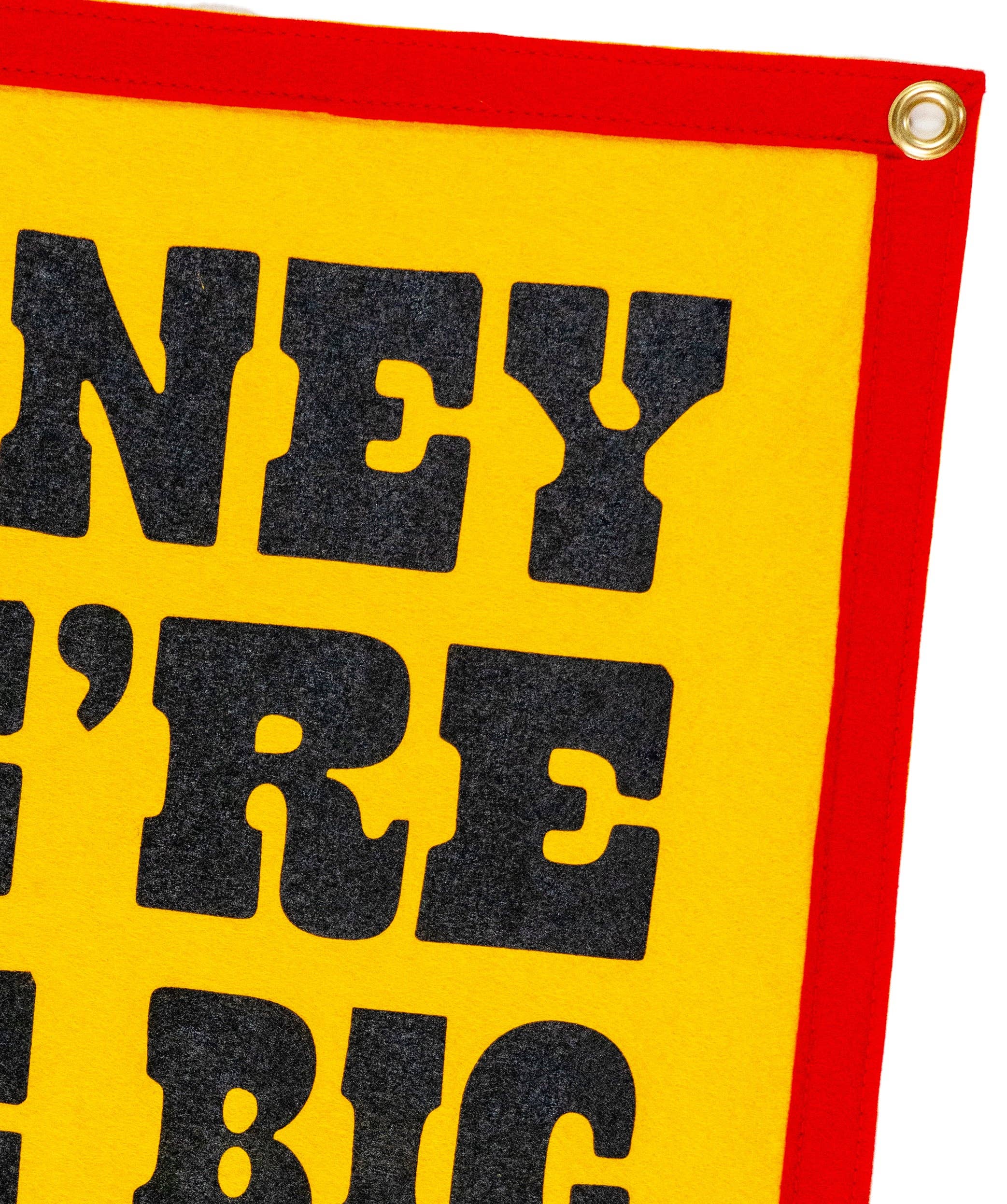 Oxford Pennant - Wholesale Flag - We're The Big Door Prize Camp Flag • John Prine x Oxford Pennant4